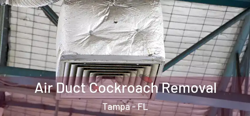 Air Duct Cockroach Removal Tampa - FL