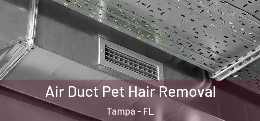 Air Duct Pet Hair Removal Tampa - FL