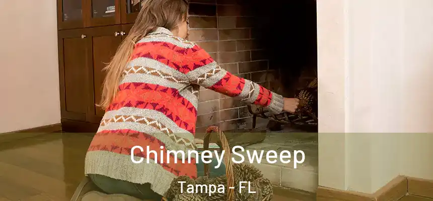 Chimney Sweep Tampa - FL