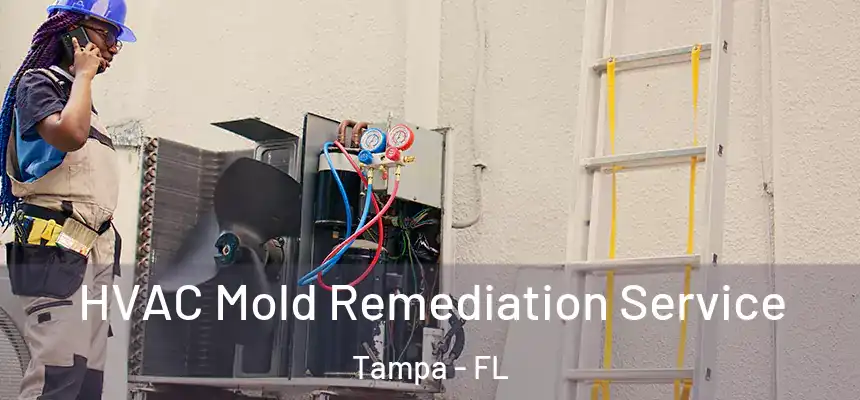  HVAC Mold Remediation Service Tampa - FL