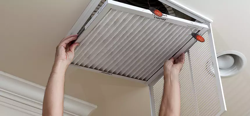 Preventive Cockroach-Proofing for Ducts in Tampa