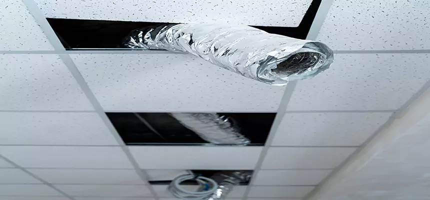 Our Air Duct Pet Hair Removal Services in Tampa, FL