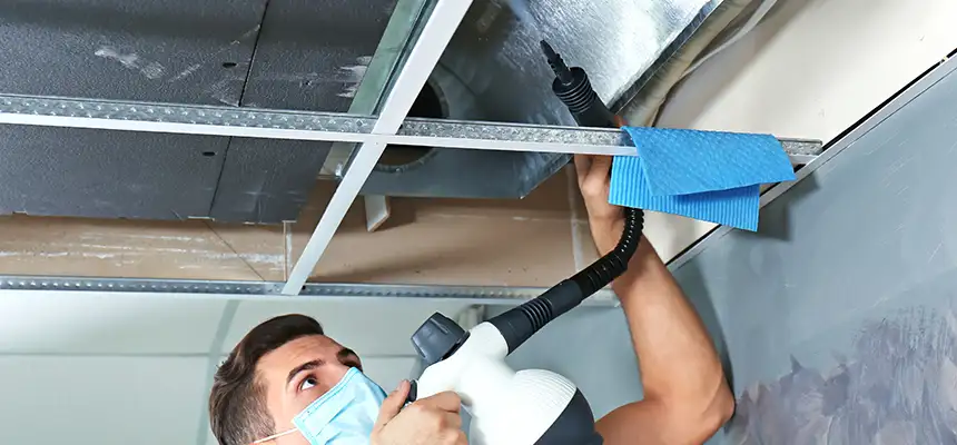 Our Air Duct Rodent Removal Services in Tampa, FL