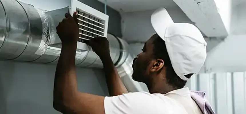 Our Licensed And Insured Cleaners in Tampa, FL