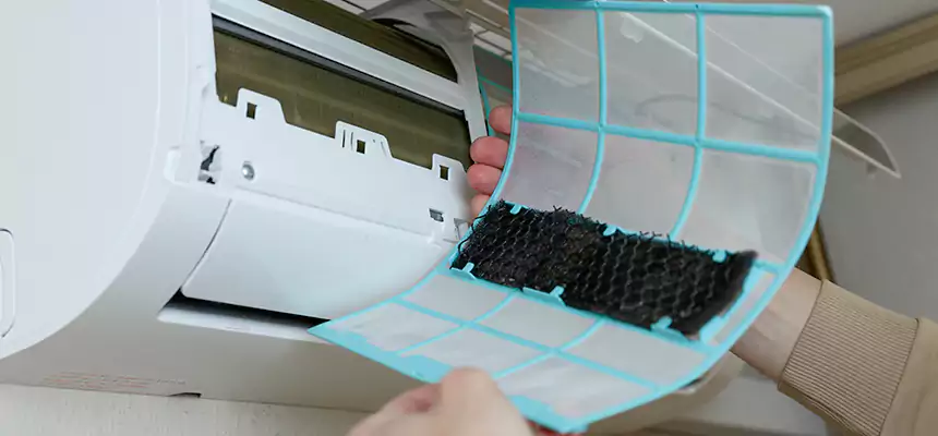 Gentle Ductwork Odor-Control Pet Dander Duct Cleaning in Tampa, FL