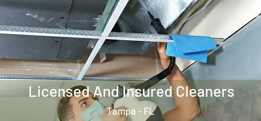 Licensed And Insured Cleaners Tampa - FL