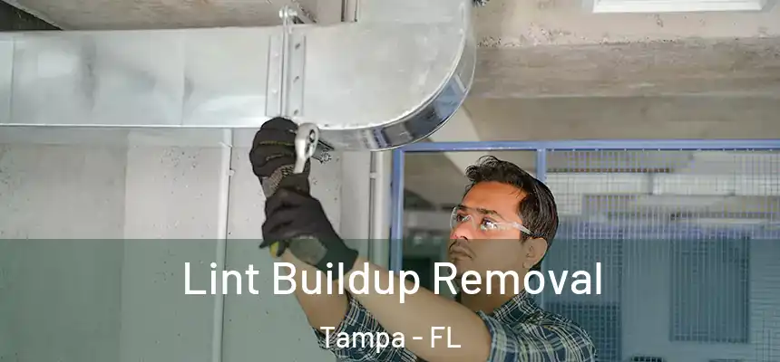 Lint Buildup Removal Tampa - FL