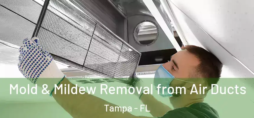 Mold & Mildew Removal from Air Ducts Tampa - FL