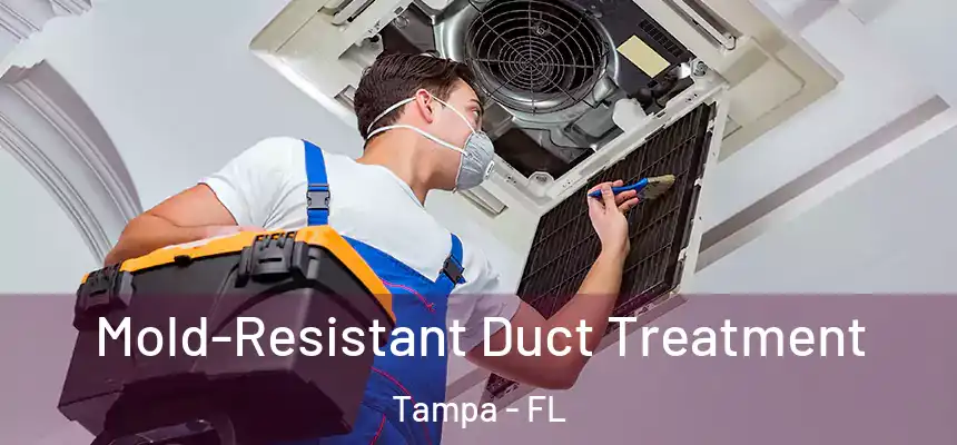  Mold-Resistant Duct Treatment Tampa - FL