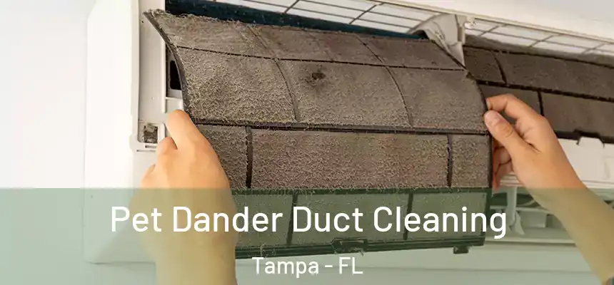 Pet Dander Duct Cleaning Tampa - FL