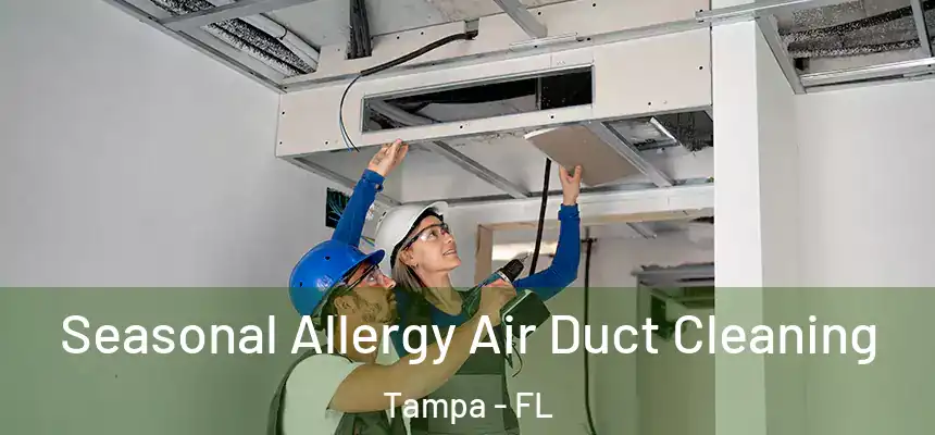 Seasonal Allergy Air Duct Cleaning Tampa - FL
