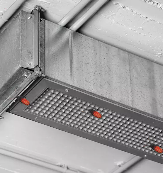 About Air Duct Cockroach Removal in Tampa, FL