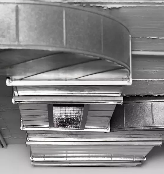 Professional Air Duct Pest Removal in Tampa, FL