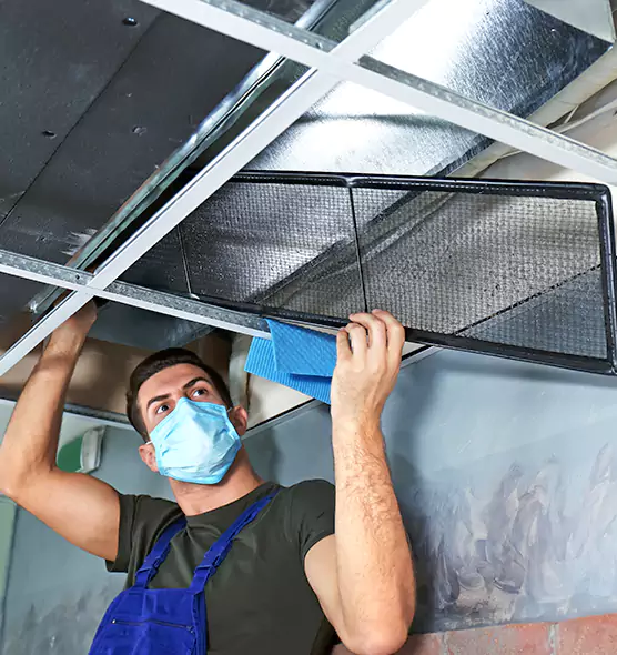 Professional Air Duct Pollen Cleaning in Tampa, FL