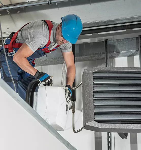 About HVAC Mold Remediation Service in Tampa, FL