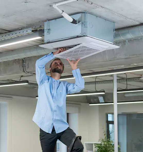 Advanced Rodent Droppings In Vents in Tampa, FL