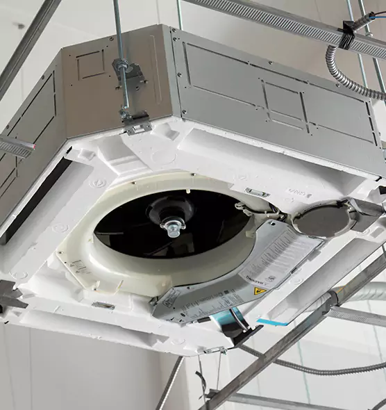 Professional Roof Vent Lint Removal Tampa, FL