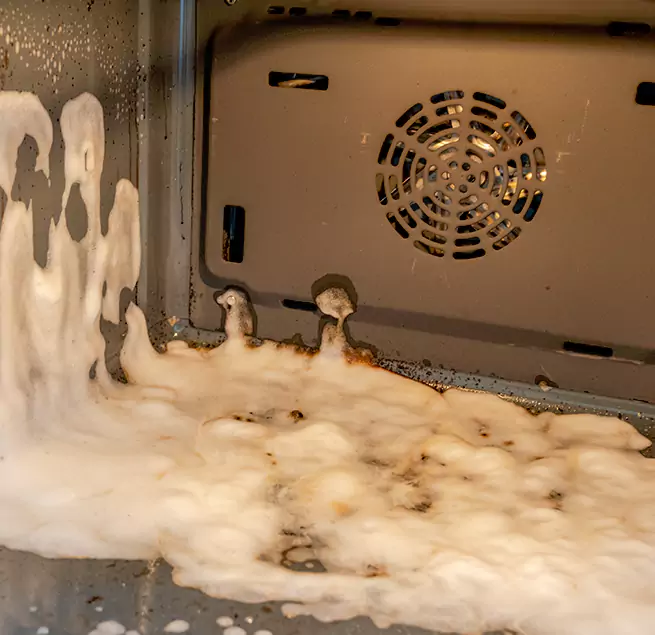 Why Homeowners & Businesses Trust Us in Tampa, FL?