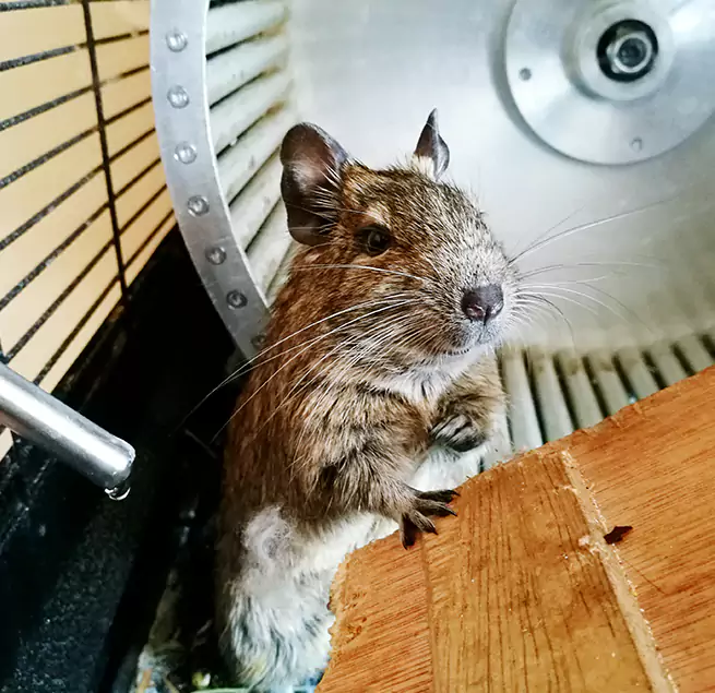 Why Homeowners & Businesses Trust Us Tampa, FL