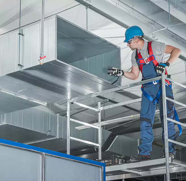 Why Homeowners & Businesses Trust Us in Tampa, FL?