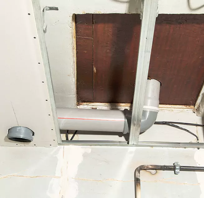 Why Homeowners & Businesses Trust Us in Tampa, FL?