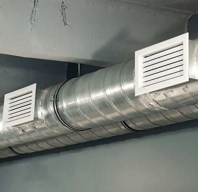 Why Homeowners Businesses Trust Us in Tampa, FL