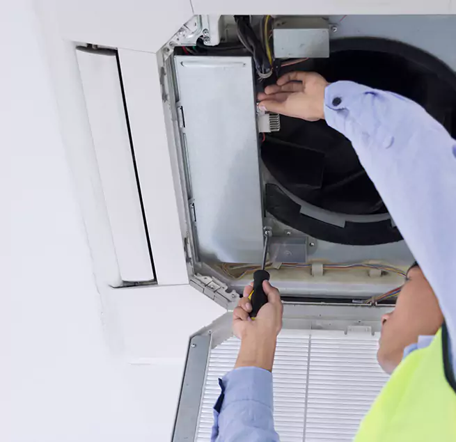 Why Homeowners & Businesses Trust Us in Tampa, FL?