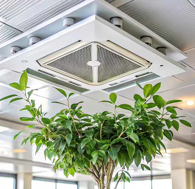 Why Homeowners & Businesses Trust Us in Tampa, FL