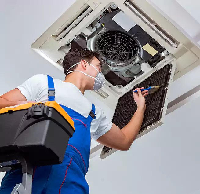 Why Homeowners & Businesses Trust Us in Tampa, FL?