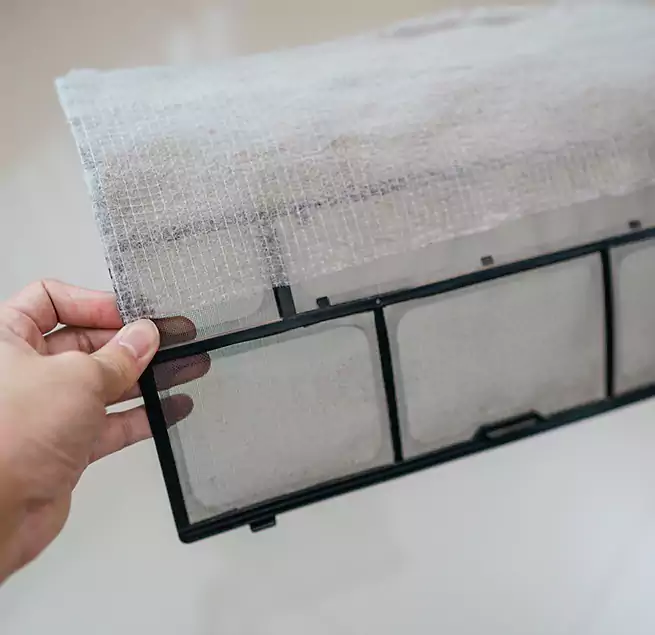 Why Homeowners & Businesses Trust Us in Tampa, FL?