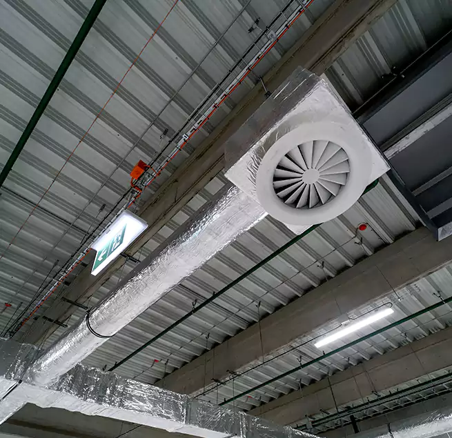 Why Homeowners & Businesses Trust Us in Tampa, FL