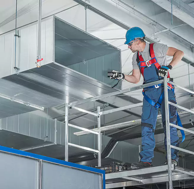 Why Homeowners Businesses Trust Us in Tampa, FL