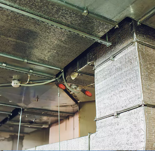 Why Homeowners & Businesses Trust Us Tampa, FL?