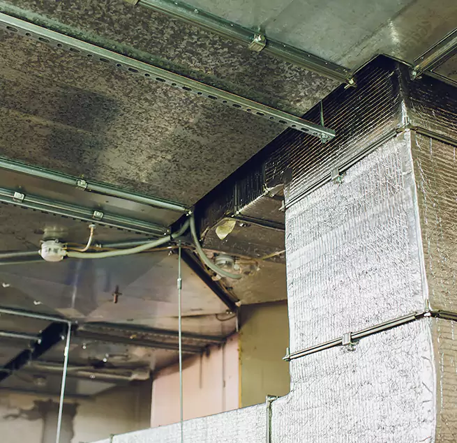 Why Homeowners & Businesses Trust Us in Tampa, FL?