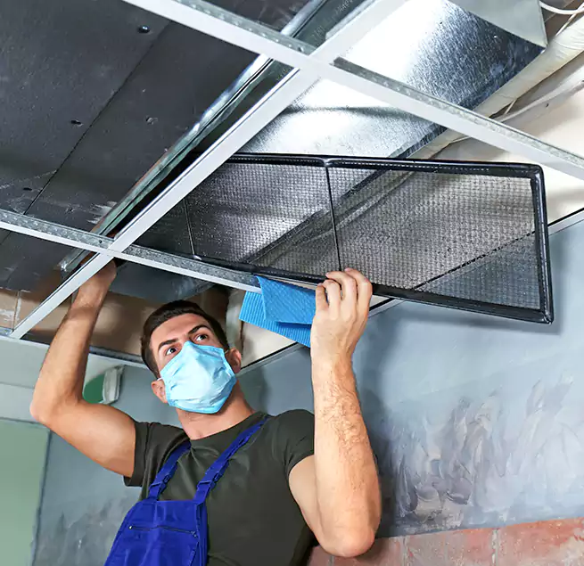 Why Homeowners Businesses Trust Us in Tampa, FL